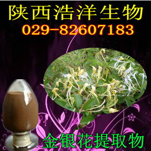 金银花提取物