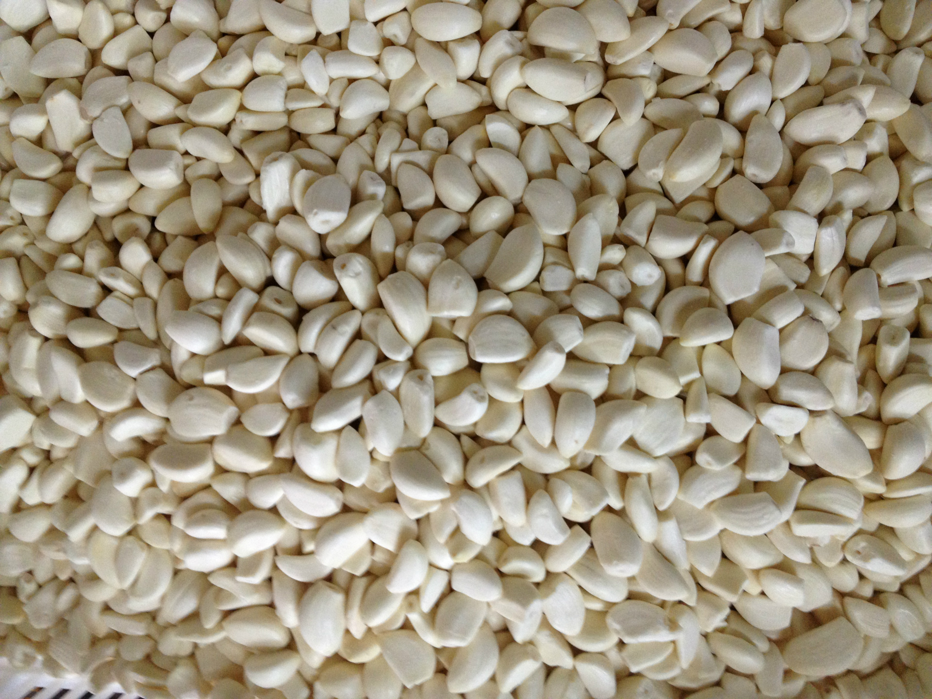 2015年新季速冻蒜米