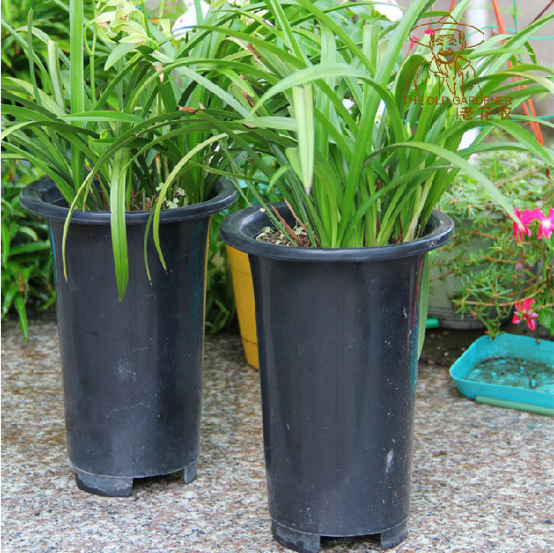 塑料兰花盆 兰盆 园艺用品 多种颜色尺寸