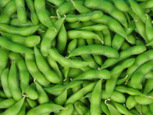 鲜毛豆价格_今日最新鲜毛豆价格行情走势