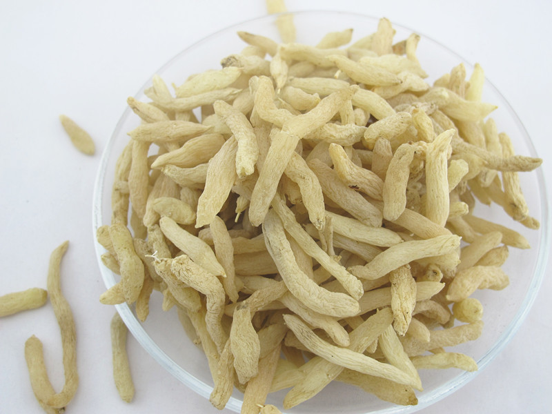 花草茶批发 供应麦冬 纯干无硫 量大从优