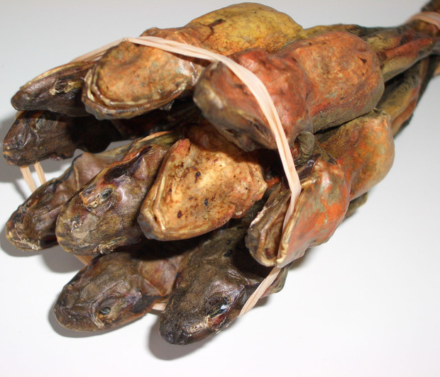 长白山亚种林蛙干制品油蛙 10克/只左右出油量高