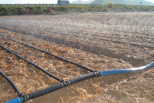 n45微喷带 西瓜草莓种植用膜下滴灌带 厂家直供(无孔,加厚)