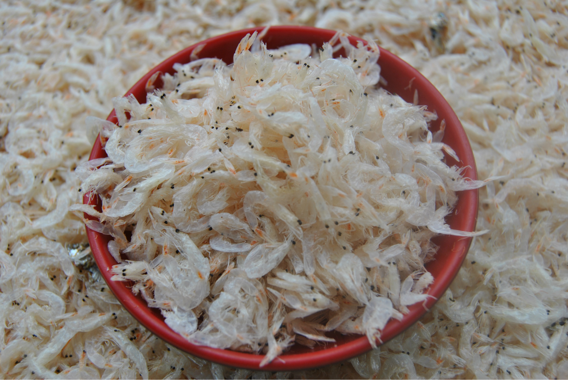 特级淡干水晶虾皮浙江特产大连特产5kg/件产地直销