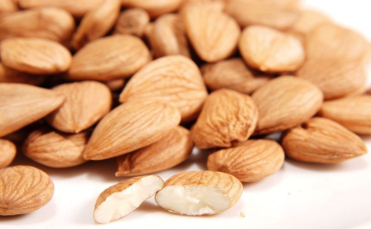 厂家批发供应 带皮大粒甜杏仁 南杏仁 优质精选 【1.