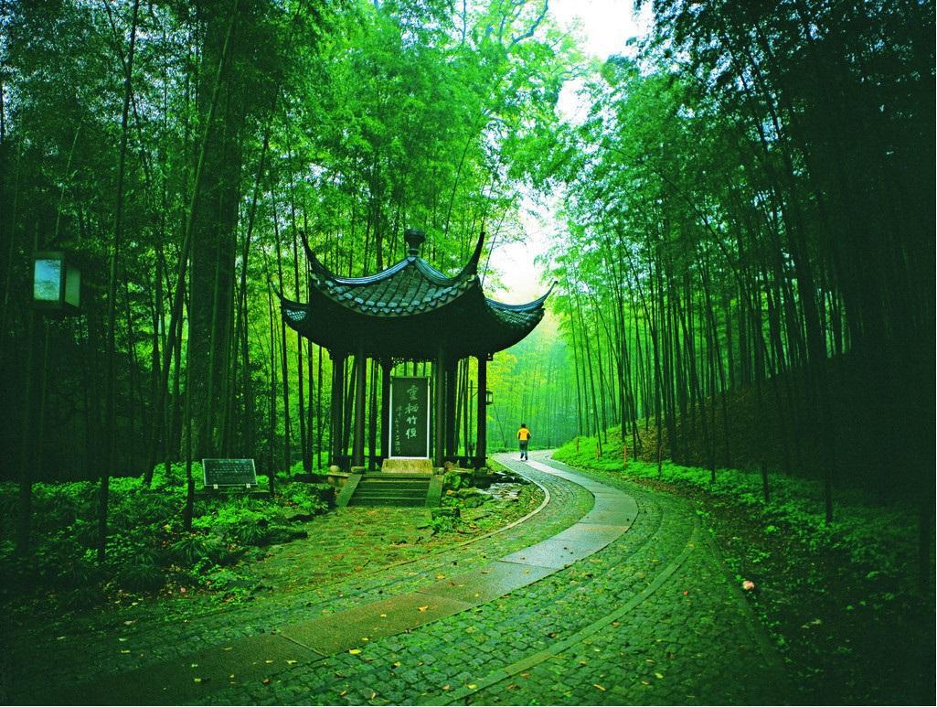 湘楠户外重竹板材高耐竹材现代园林景观建筑竹材料私家庭