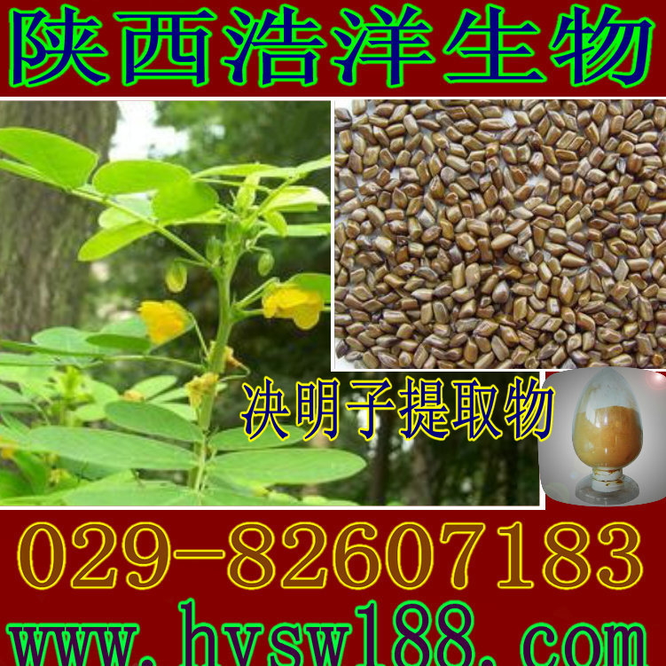决明子