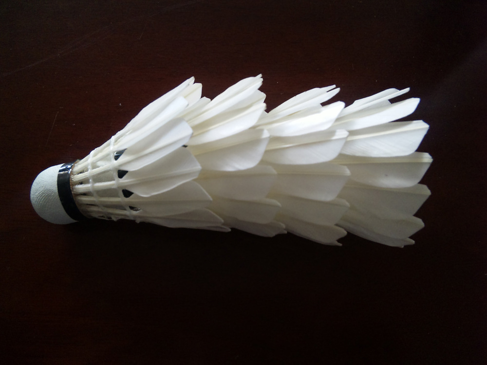 诚招代理 poona/普纳水晶4号羽毛球生产 羽毛球批发 出口