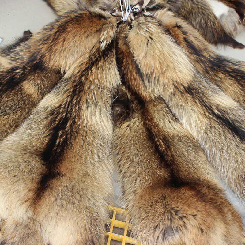 河北大营凡雅皮草现货供应优质貉子皮 批发唐山路整皮貉子皮