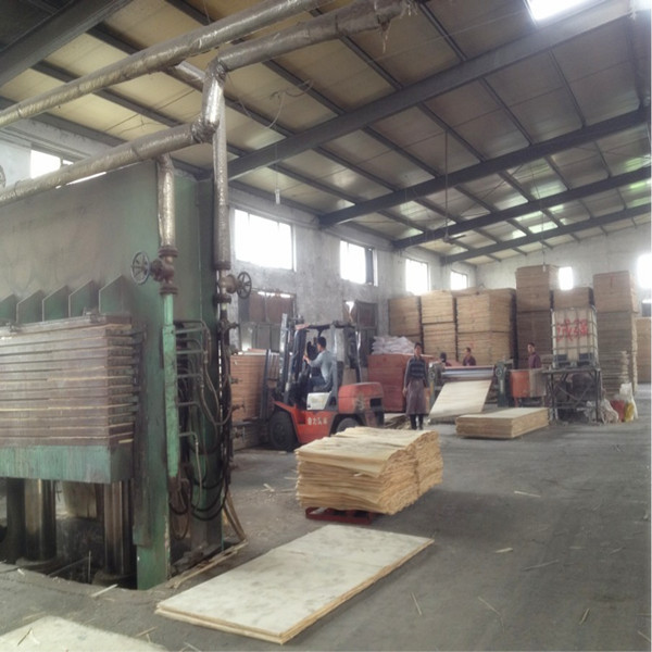 山东厂家直销 建筑模板 1220*2440mm 各种规格可出口 量大从优