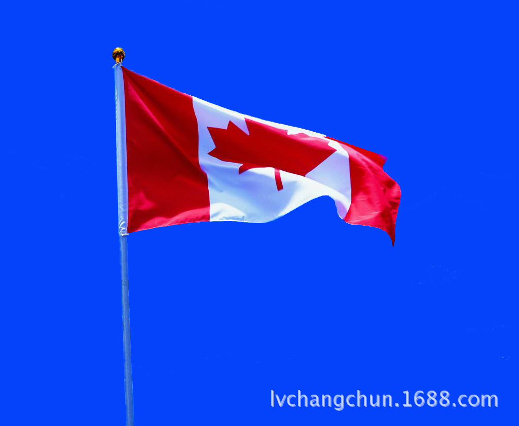 【小型国旗】_小型国旗厂家_小型国旗批发市