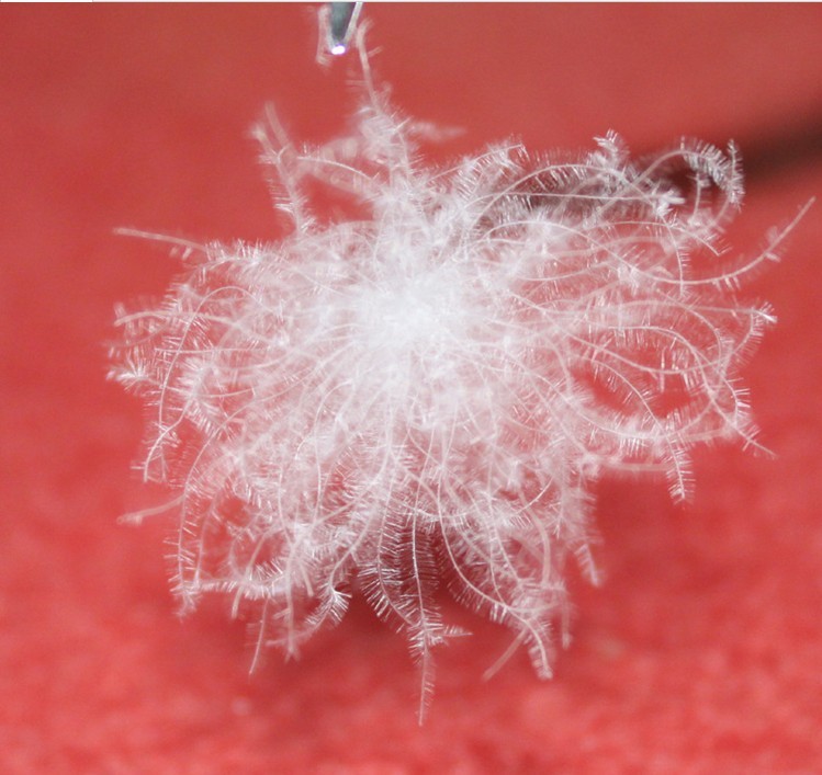 精品90%白鹅绒 高档羽绒制品必备材料 羽绒 出口标准 蓬松度好