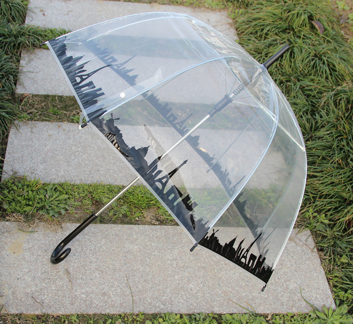 雨伞厂家现货批发 个性透明晴雨伞 时尚韩版直杆公主型遮阳伞
