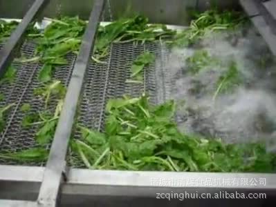 气泡清洗机 果蔬加工设备 蔬菜清洗机海鲜清洗机