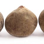 【森橘】 正宗化橘红果 化州橘红 化痰止咳 慢性支气管炎 哮喘