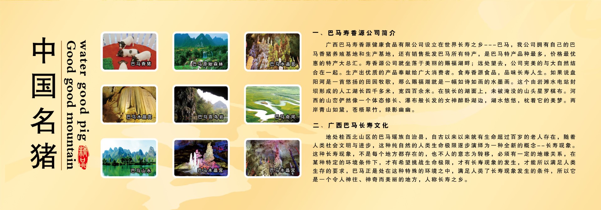 寿香源巴马香猪650g 纯种广西特产特种巴马香猪腊香猪 价格实惠