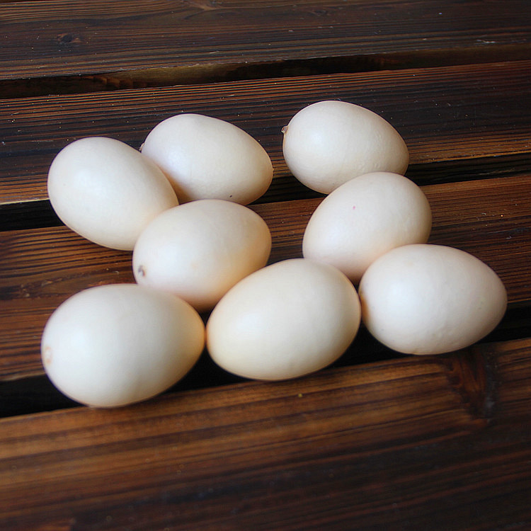 厂家直销仿真佛手瓜 假蔬菜水果模型批发 _其他材质工艺品_列表网