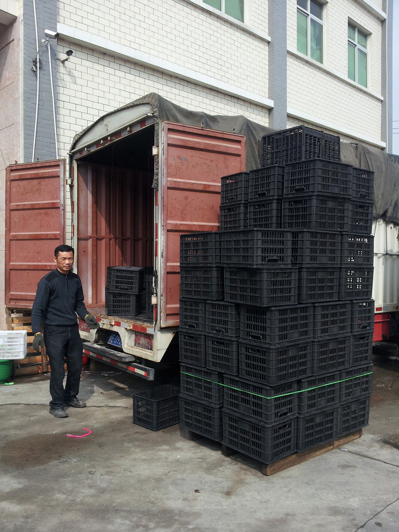 供应原塑料18斤装沙滩桔筐荔枝芦柑水果筐