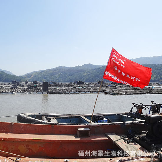 鑫海景鲍鱼配合饲料