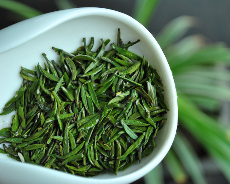 贵州名茶湄潭翠芽