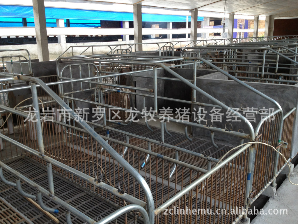 厂家专业批发供应母猪产房 质量保证 自主设计