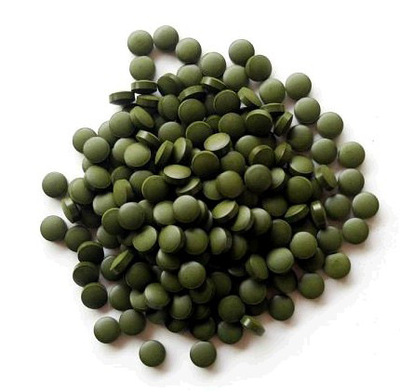 天健生物/纯度100%/高cgf蛋白核绿藻片