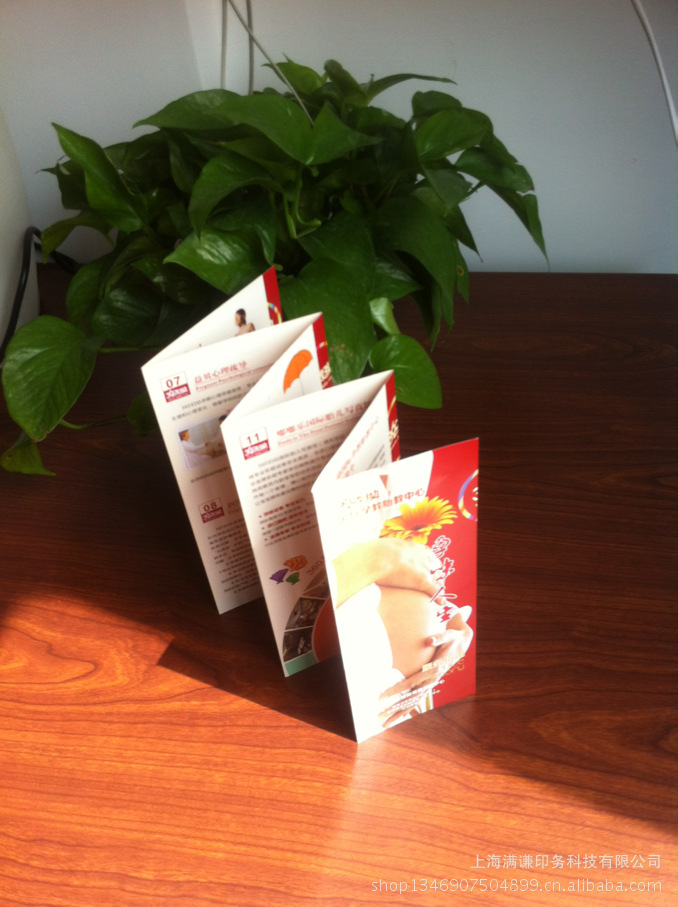厂家直销 宣传册 折页 异形折页 产品宣传册 公司宣传册纸类印刷