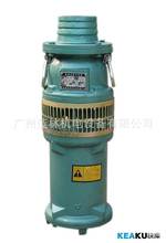 QY喷泉水泵 上海人民泵业广州销售部 QY15-26-2.2kw立式潜水泵
