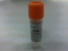 抑肽酶（牛肺提取）/蛋白酶抑制剂10mg