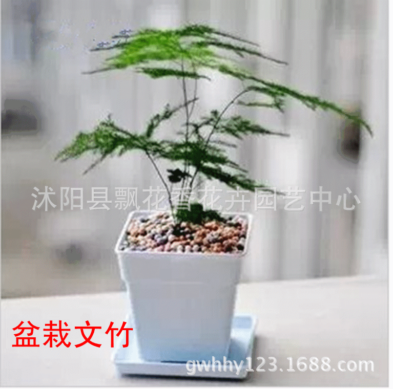 767_760gif 动态图 动图