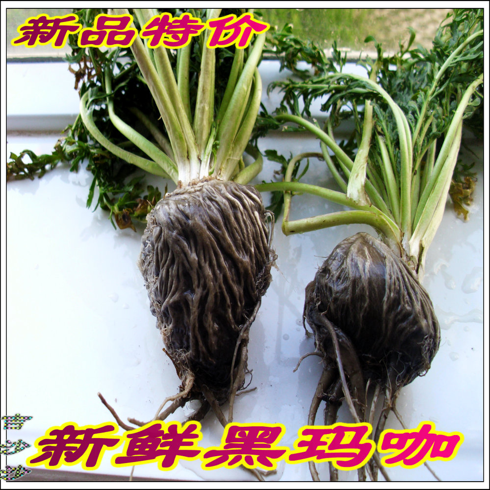 钱跃利的个人主页-阿里巴巴1688.com