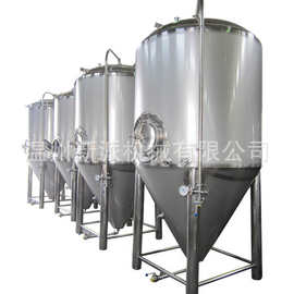 新型啤酒发酵设备_新型啤酒发酵设备价格_新