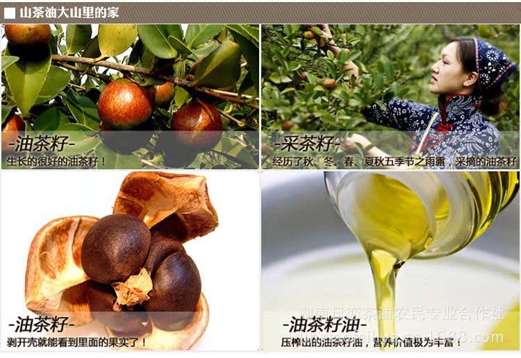 中国茶油之都——湖南省邵阳县——日恋茶油的药用价值