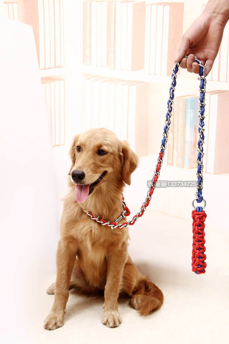 宠之豪 穿防咬狗链子加长大犬狗绳宠物用品现货批发