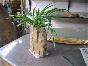 肇庆端砚石摆件 花瓶 天然石装饰品 家居酒店礼品