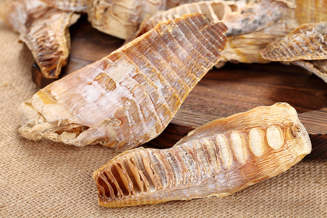 【诚招代理】特产贡笋 产地西天目山的天目贡笋 150g 烧肉必备