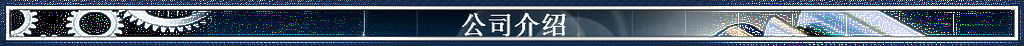 公司介绍2