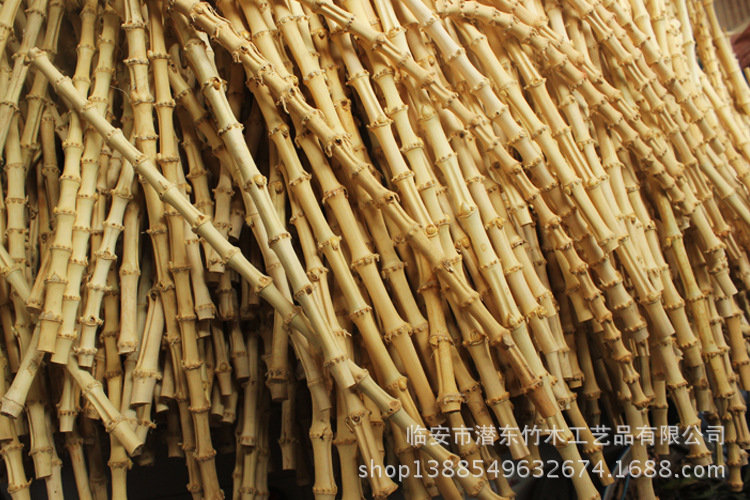 优质竹根金竹鞭老式烟斗柄原料diy耗材竹条竹节工艺制品一件起批