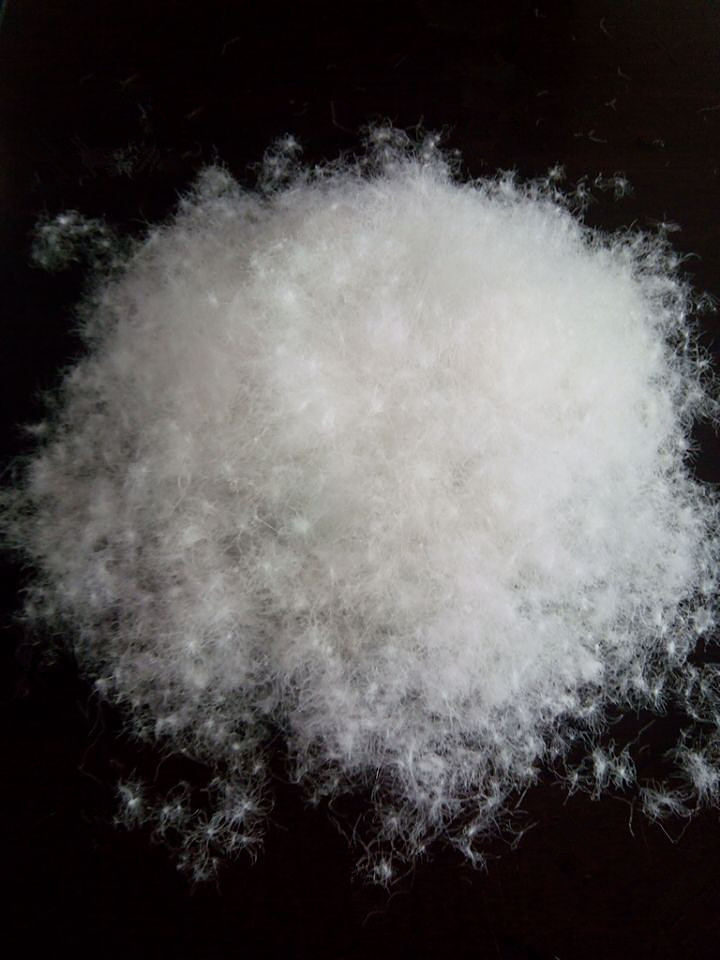 鸿昌羽绒水洗纯白鸭绒2003标70绒 蓬松好气味好 羽绒批.