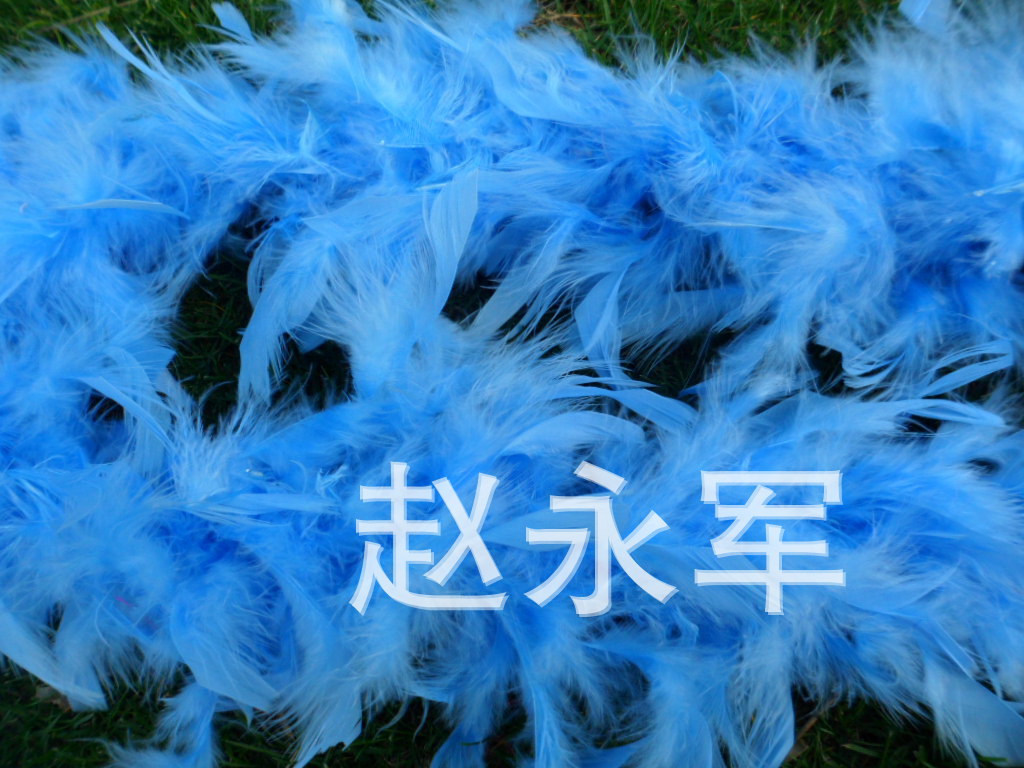 1326067402_738755280