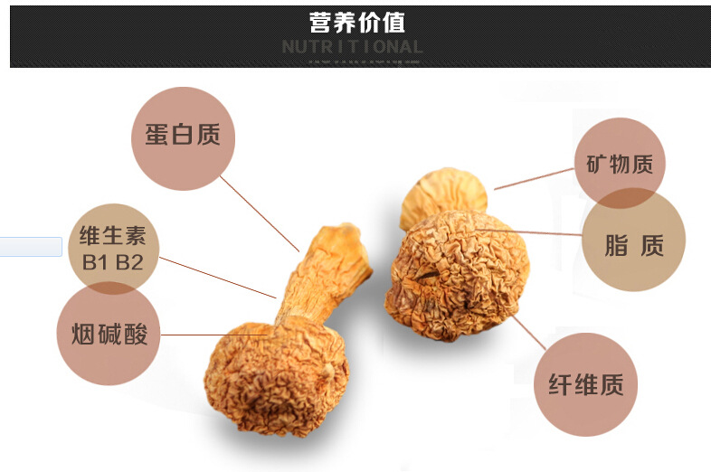 供应2017年新货姬松茸云南特产巴西菇新鲜松茸松