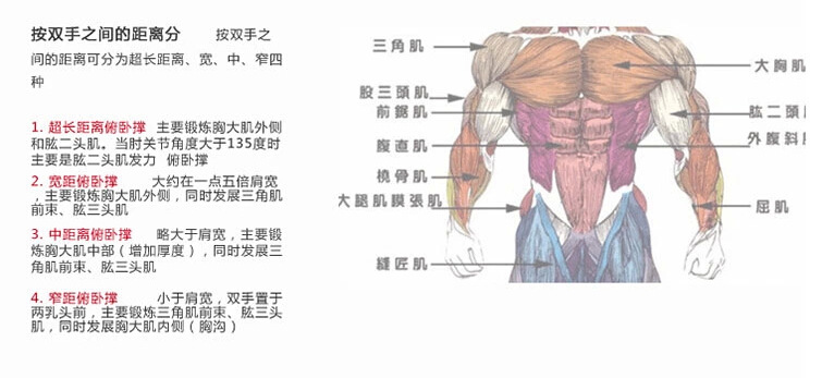 俯卧撑器俯卧撑架俯卧撑支架 多功能胸肌健身器材 家用防滑