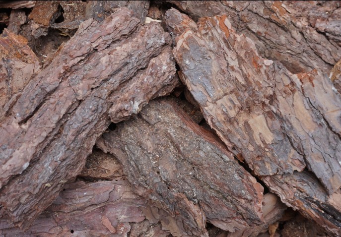 松树皮小号厂家铁皮石斛种苗蝴蝶兰花草栽培基质