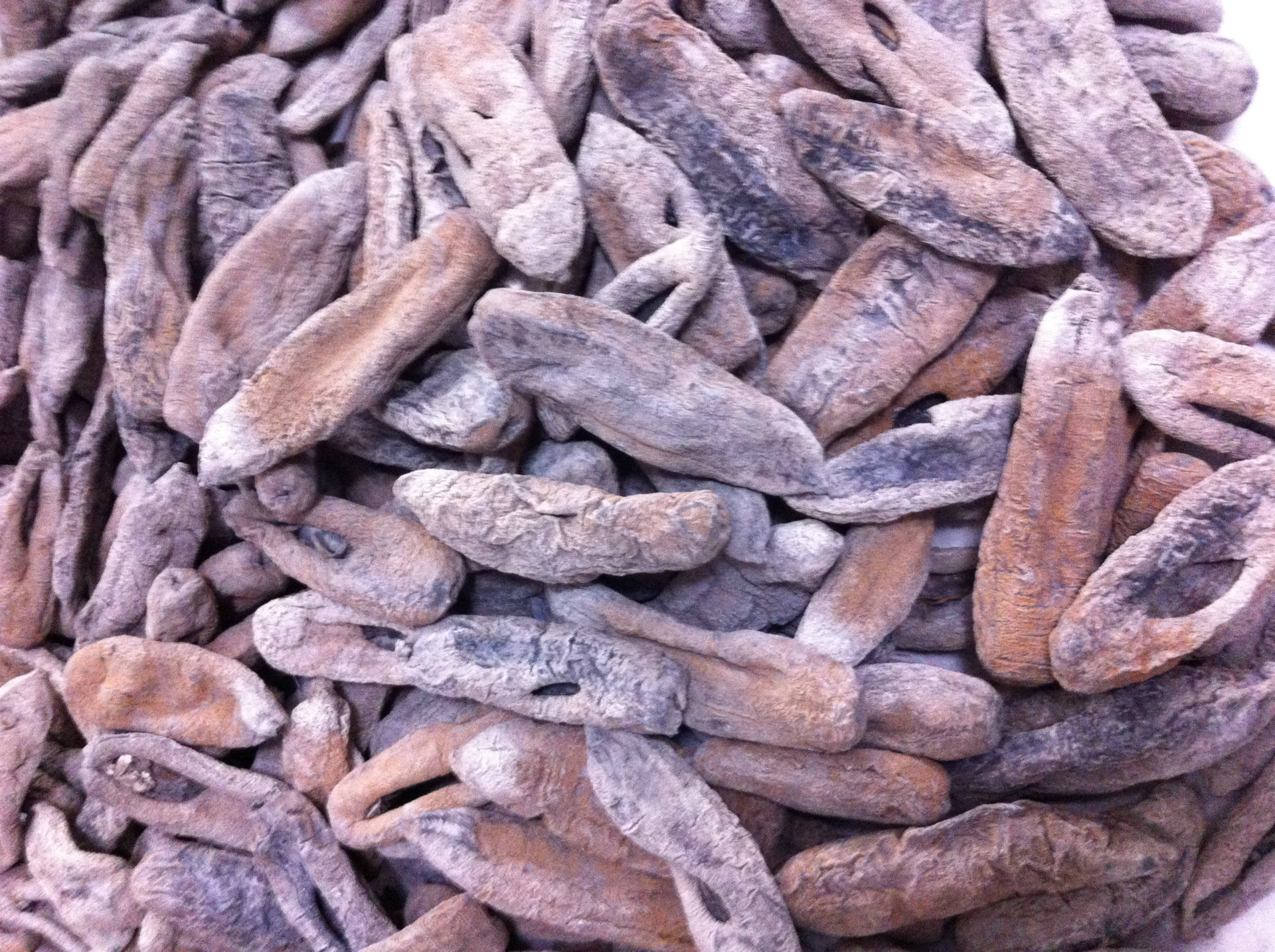 茄参/无泥茄参 淡干海参 价格低廉 肉厚肥嫩 没有泥巴 储藏简单