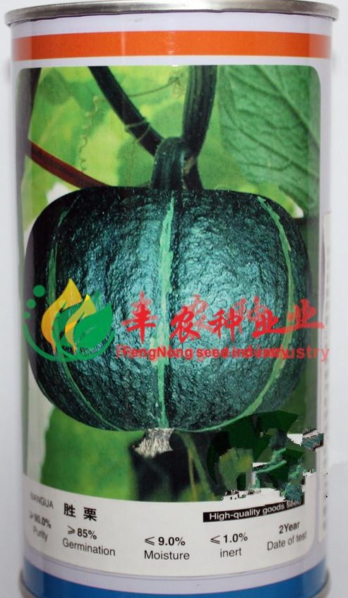 农家日本南瓜种子高产板栗贝贝南瓜种籽小疙瘩型巨型蔬菜种孑