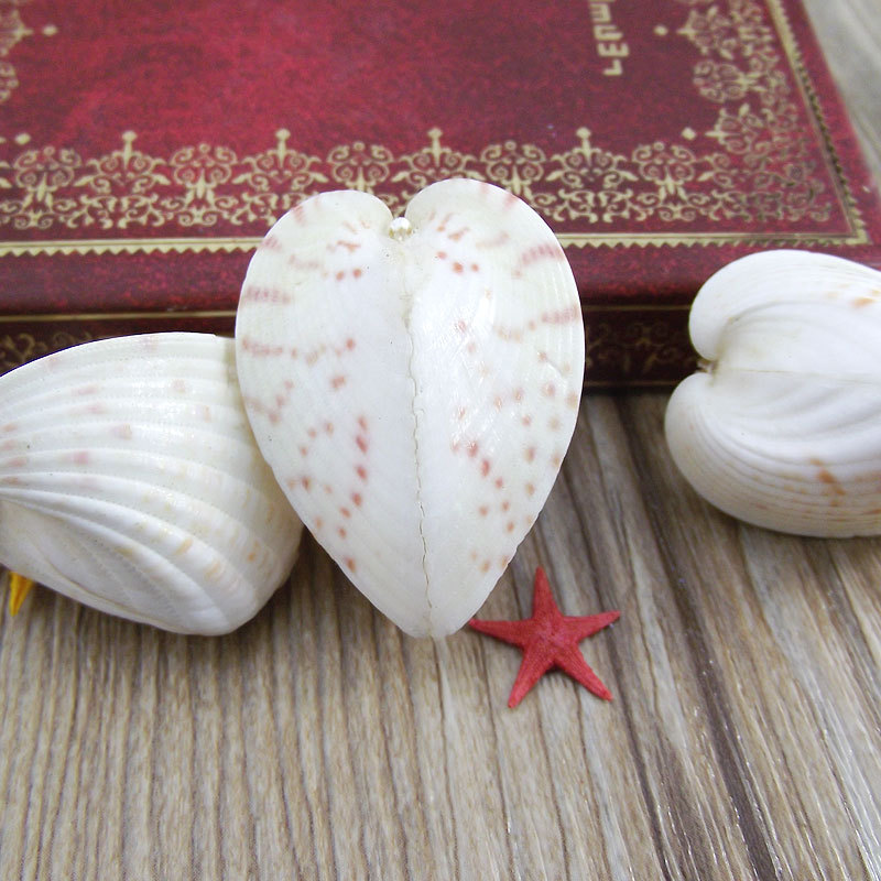 天然立体心形蛤鸡心蛤爱心贝贝壳装饰收藏海螺礼品diy 鸡心贝情侣