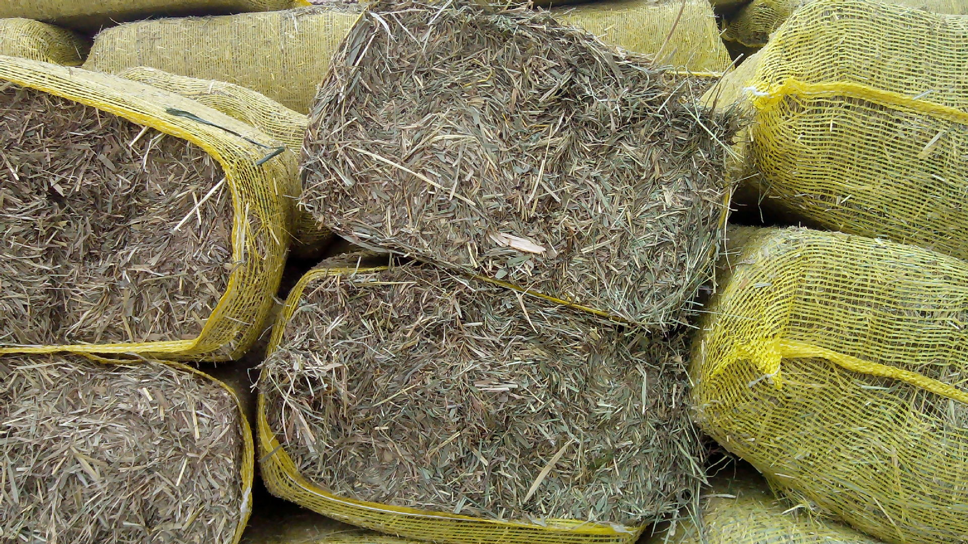 河北黄骅 揉丝干草 草捆 数量不多 欲购从速