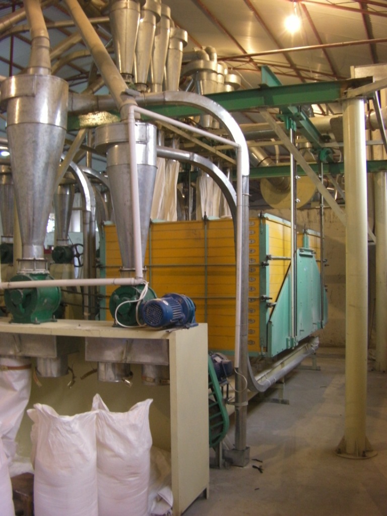 青稞面粉炒面机 青稞加工设备 青稞糌粑加工设备厂家