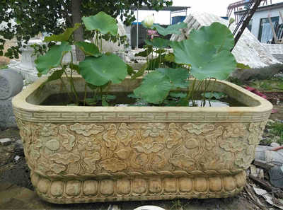 仿古汉白玉石雕鱼缸 厂家直销石雕荷花鲤鱼鱼缸 庭院石头养鱼缸