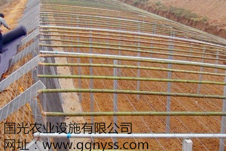 环境,土质,种植模式,因地制宜设计建设各种冬暖式大棚,高科技蔬菜大棚